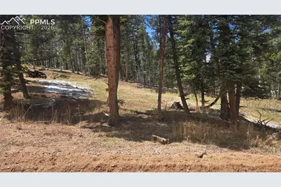 151 Mt Elbert Road, Florissant, CO 80816 - Photo 2
