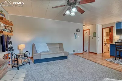 281 Mesa Drive, Florissant, CO 80816 - Photo 20