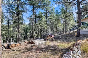 281 Mesa Dr, Florissant, CO 80816 - Photo 14