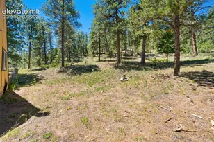 5463 High Park Rd, Florissant, CO 80816 - Photo 34