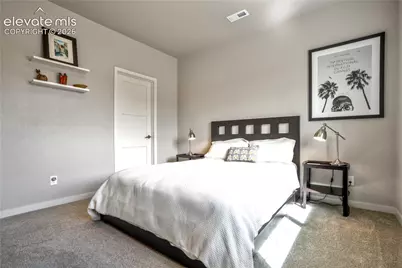 10667 Derby Mesa Court, Colorado Springs, CO 80924 - Photo 40