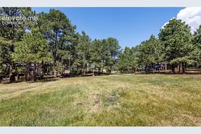 19205 Doewood Drive, Monument, CO 80132 - Photo 34