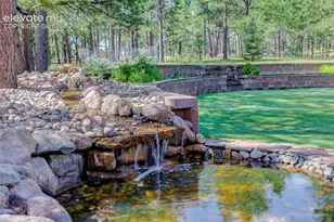 11570 Milford Rd, Elbert, CO 80106 - Photo 8