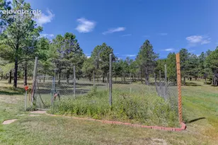 11570 Milford Rd, Elbert, CO 80106 - Photo 10