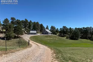 3793 Badger Ln, Elbert, CO 80106 - Photo 6