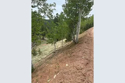 1600 Pikes Peak Drive, Divide, CO 80814 - Photo 6