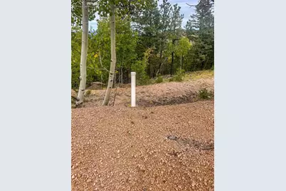 599 Dandy Jim Drive, Cripple Creek, CO 80813 - Photo 6
