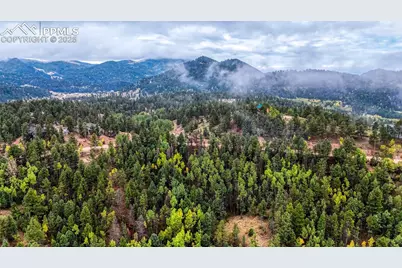 599 Dandy Jim Drive, Cripple Creek, CO 80813 - Photo 10