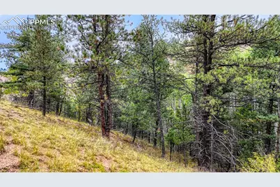 599 Dandy Jim Drive, Cripple Creek, CO 80813 - Photo 8