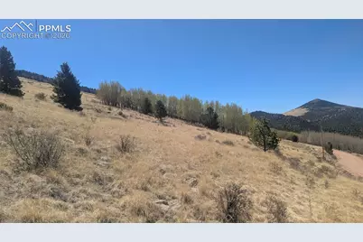 1960 Troy Drive, Cripple Creek, CO 80813 - Photo 2