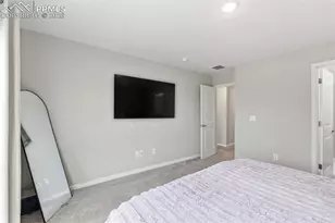 10653 Larimar Pt, Colorado Springs, CO 80908 - Photo 16