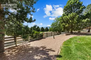 5114 Lewisia Point, Colorado Springs, CO 80917 - Photo 4