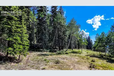 282 Fairview Drive, Cripple Creek, CO 80813 - Photo 10