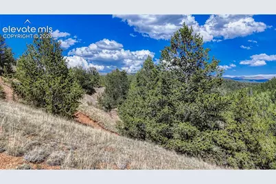 282 Fairview Drive, Cripple Creek, CO 80813 - Photo 16