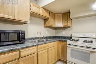 4660 Hagerman Ave, Cascade, CO 80809 - Photo 40