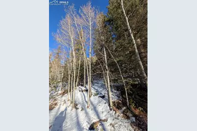 386 Brook Drive, Lake George, CO 80827 - Photo 48