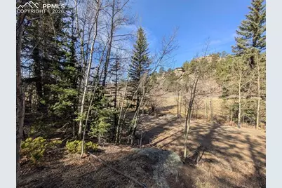 386 Brook Drive, Lake George, CO 80827 - Photo 8