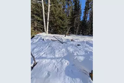386 Brook Drive, Lake George, CO 80827 - Photo 40