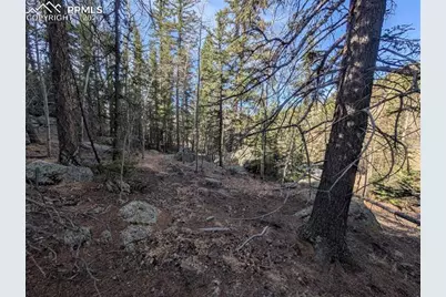 386 Brook Drive, Lake George, CO 80827 - Photo 10
