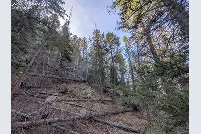 386 Brook Drive, Lake George, CO 80827 - Photo 26