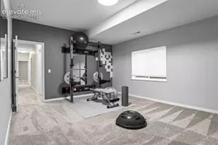 10108 Palisade Ridge Dr, Colorado Springs, CO 80920 - Photo 38