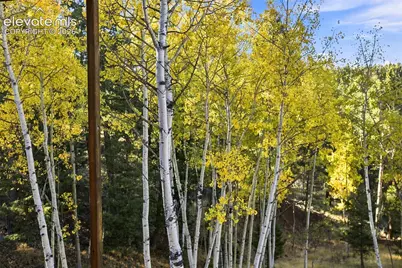 138 Valley Crest Circle, Florissant, CO 80816 - Photo 24