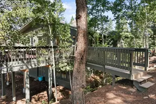 1150 Forest Hill Pl, Woodland Park, CO 80863 - Photo 32