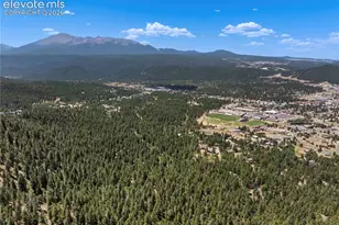 1150 Forest Hill Pl, Woodland Park, CO 80863 - Photo 8
