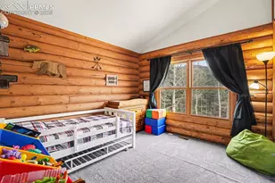 220 Rocky Mountain View, Divide, CO 80814 - Photo 14
