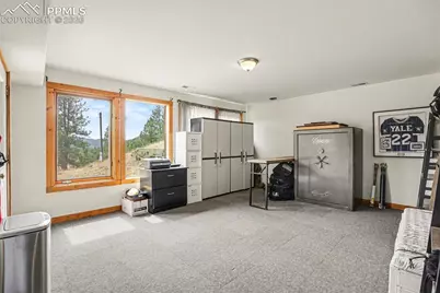 220 Rocky Mountain View, Divide, CO 80814 - Photo 16