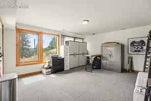 220 Rocky Mountain View, Divide, CO 80814 - Photo 16