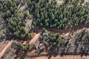 60 Beaver Pond Rd, Divide, CO 80814 - Photo 8