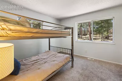 723 N Center Street, Woodland Park, CO 80863 - Photo 16
