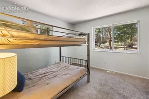 723 N Center St, Woodland Park, CO 80863 - Photo 16