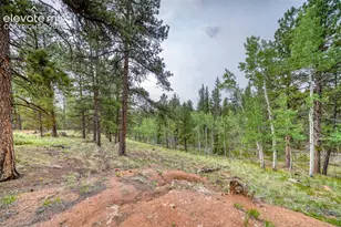 5544 County Road 5 Rd, Divide, CO 80814 - Photo 48