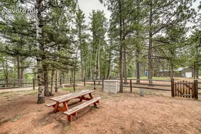 5544 County Road 5 Road, Divide, CO 80814 - Photo 42