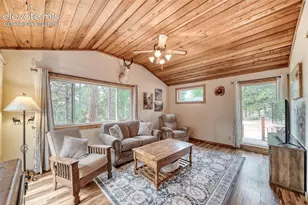 5544 Co Rd 5, Divide, CO 80814 - Photo 4