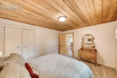 5544 County Road 5 Road, Divide, CO 80814 - Photo 22