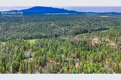 5544 County Road 5 Road, Divide, CO 80814 - Photo 40