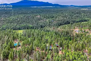 5544 County Road 5 Rd, Divide, CO 80814 - Photo 40