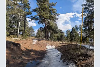56 Rampart Circle, Florissant, CO 80816 - Photo 8