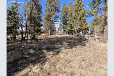 56 Rampart Circle, Florissant, CO 80816 - Photo 22