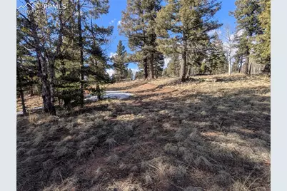 56 Rampart Circle, Florissant, CO 80816 - Photo 24