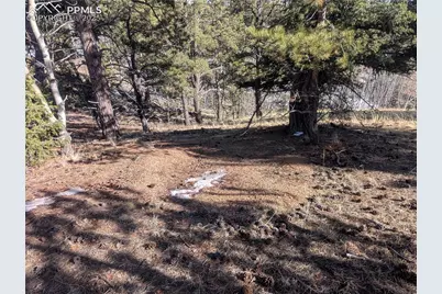 56 Rampart Circle, Florissant, CO 80816 - Photo 28