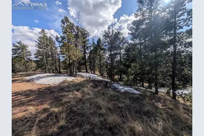 56 Rampart Circle, Florissant, CO 80816 - Photo 4