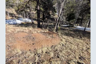 56 Rampart Circle, Florissant, CO 80816 - Photo 26