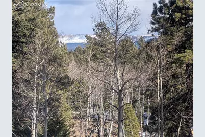 56 Rampart Circle, Florissant, CO 80816 - Photo 18