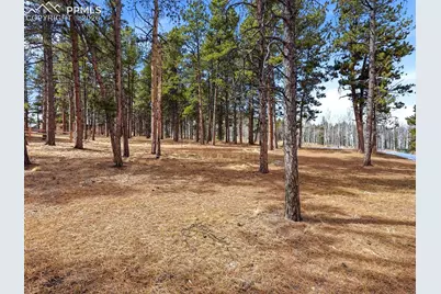 1305 Stone Ridge Drive, Woodland Park, CO 80863 - Photo 44
