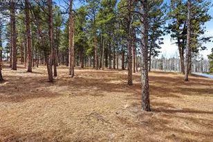 1305 Stone Ridge Dr, Woodland Park, CO 80863 - Photo 44
