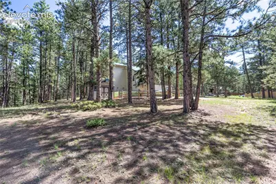 3115 Regent Drive, Woodland Park, CO 80863 - Photo 40